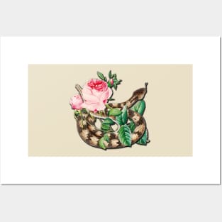 Vintage Rattlesnake and Pink Roses Posters and Art